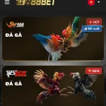 Hai thẻ SV388 và WS168 trong mục Bo88bet đá gà trên điện thoại